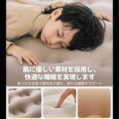 エアーベット　キャンプ　ココットの画像