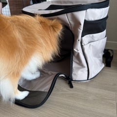 犬用バッグの画像