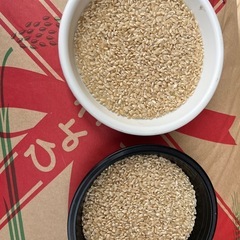 新米　きぬむすめ　玄米30kg 1袋2万円の画像