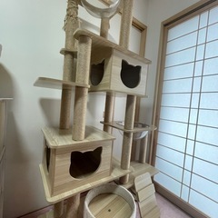 【決まりました】木製キャットタワーの画像