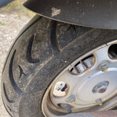 UMI 100CC (配送無料)の画像