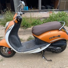 UMI 100CC (配送無料)の画像