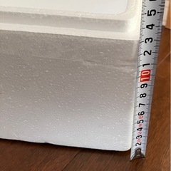 発泡スチール　入れ物の画像