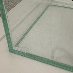 ショーベタ　飼育セット(カルキ抜き無)の画像