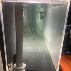 1500オーバーフロー水槽の画像