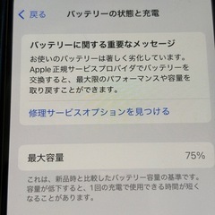 iPhone12 mini 256GB レッド
の画像