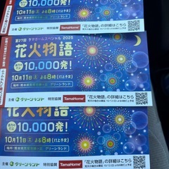 グリーンランド　チケットの画像