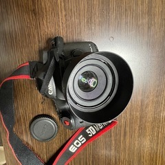 5D Mark3の画像