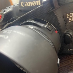 5D Mark3の画像