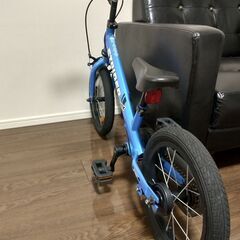 ストライダー 14Xの画像