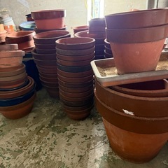 【お譲りします】植木鉢たくさん！の画像