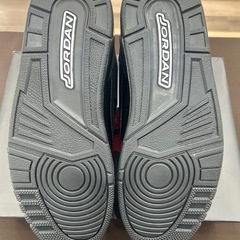 【ジャングルジャングル岸和田和泉インター】NIKE エアジョーダン3 レトロ CT8532-300 29cm 和泉市 堺市 岸和田市 泉大津市 高石市 泉北郡熊取町の画像