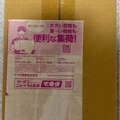 スペシャルBOXポケモンセンター　トウホク  新品の画像