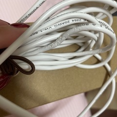 【決まりました】電動バウンサーの画像