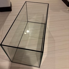 GEX水槽の画像