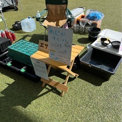 メダカ　容器　引退　メダカすくい　スーパーボール掬い一式の画像
