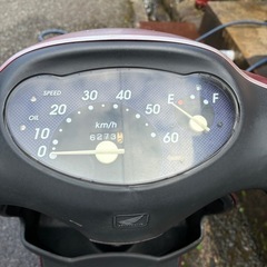 dio fit ディオフィットの画像