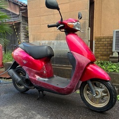 dio fit ディオフィットの画像
