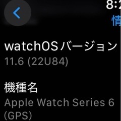 「本日限定！」アップルウォッチ　series6 44mmの画像
