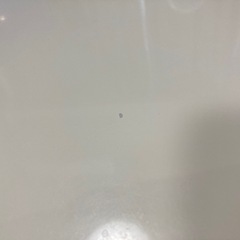 折りたたみテーブル　ニトリの画像