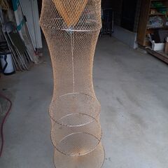 ヘラフラシの画像