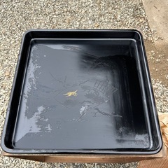 お盆10客の画像
