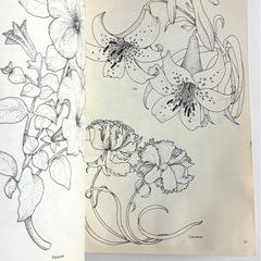 洋書 スーザン・ゲイバー 『芸術家・刺繍師・職人のための花のデザインの宝庫』の画像