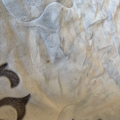 こたつ布団の画像