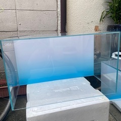 ADA水槽60cm
の画像