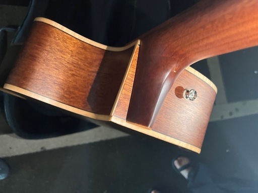 Fender Newporte Special 