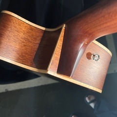 Fender Newporte Special の画像