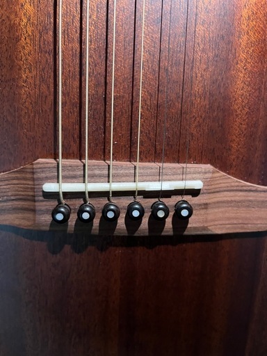 Fender Newporte Special 
