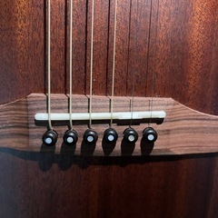 Fender Newporte Special の画像