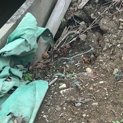 残土をください