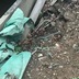 ランキングキーワードに紐づく投稿画像-残土