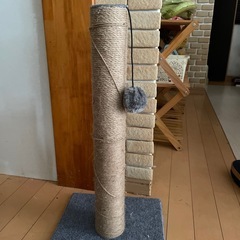猫爪研ぎ
の画像