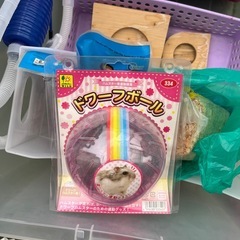 リスや小動物　ケージ小物の画像