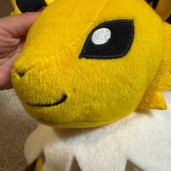 サンダース　ぬいぐるみの画像