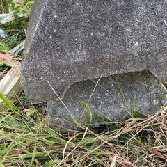物干し台2個の画像