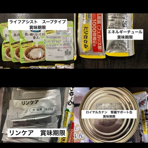 犬用　腎臓療法食・サプリセット