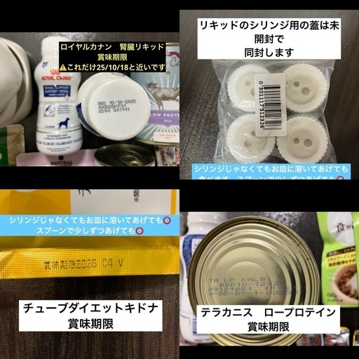 犬用　腎臓療法食・サプリセット