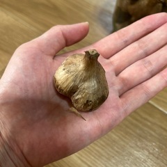 黒ニンニクの画像