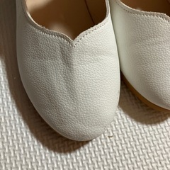 22cm　の画像