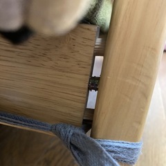 カラフルカラー　ソファの画像