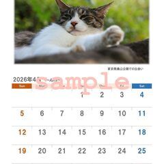 2026年のカレンダー（猫）の画像