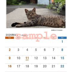 2026年のカレンダー（猫）の画像