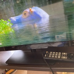 TOSHIBA REGZA 液晶 23 型　23S8 2015年製　保証付の画像