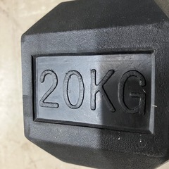 A2510-254 ヘキサゴンダンベル ヘックスバー ダンベル 20kg×2 バラ売り不可 キズ 汚れありの画像