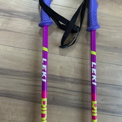 レキ　ストック　スキー　95の画像