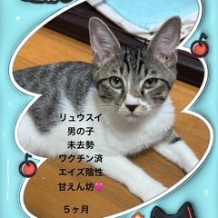 お問い合わせ❌5ヶ月男の子りゅうすいくん